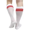 Men's Socks Solid Mesh Mens Dress Suit Knee High Circle See Through Formal Male Stocking Business Sexy Lingerie Breathable