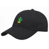 Softbol Autumn Cactus bordado Capilla de béisbol Pareja de moda Summer Summer Breatable Sports Sport Hats Sun Gorra Beisbol