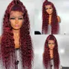 Curly Human Hair Wigs Wine Red Brazilian Remy Deep Wave Full Lace Front Synthetic Wig 180% Pre Pl