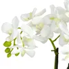 Decorative Flowers In. Phalaenopsis Orchid Artificial Arrangement In White Vase