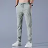 2024 ICE SILDE MENS HOSE SOMMER GRAUGE GRAU Dünne Business Casual Hosen Outdoor Elastizität atmungsaktueller Bein Jogginghose 240425