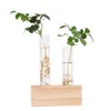 Vases Hot Sale Crystal Glass Test Tube Vase Flowers Plants Hydroponic Planter+ Wooden Stand Decorated With A Flower Home Decor