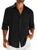 Men's Casual Shirts 2024 Autumn Shirt Loose Long Sleeve Plus Size Polo Collar Top Trendy Men