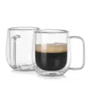 Gobelets 2pcs / réglage en verre transparent tasse à double mur à double mur de café à chaleur avec poignée set tas tas tasses à thé coffre pour amis h240425