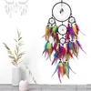 Figurines décoratives plumes colorées cinq anneaux Catcher de rêve arbre de vie pendentif salon à la main