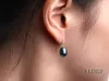 Boucles d'oreilles à goujons bijoux de perles uniques 8 à 9 mm de paon bleu en forme d'eau douce en forme d'eau douce