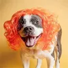 Appareils pour chiens Cozy Headgear Colored Wig Headress Accessoires Pet avec une bande élastique PO COMPTES COMPTS pour Noël