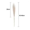 Flores decorativas 10pcs Faux Pampas Grass Decoração Decoração de Flor Art Vaso Filler Artificial Pompo Pompo Pompo Decoração Casa