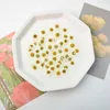 Dried Flowers 1-2cm/24pcsPressed real Chamomile petalsdried flower DIY adhesive jewelry wedding party bookmark gift card flower petal makeup