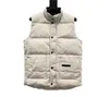 Herren Designer Down Weste Jackets Parka Brief Druck Herren Parkas Winter Kleidungsmantel Veste Luxus Buchstaben gedruckt Männer Jacken Kleidung Gilet Dhgate