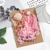 Dekorativa blommor 1bag verkliga torkade naturliga växter Ljuspressade torra blomma hemgåvor Box Scrapbooking Decor Diy Art Craft