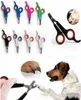 Animaux en acier inoxydable Nail Clipper Dogs Cats Nails Ciseaux Trimmor Triming Pet Dooming Supplies For Ealth LXL1199Y6132709