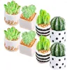 Flores decorativas 8 PCs Cacto artificial Resina Figuras Decoração de carro Mini plantas FAUX Miniatura de decoração de mesa Tiny