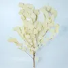 O eucalipto falso de eucalipto seco real deixa a vegetação artificial de férias florais decoração de casamento de casamentos de férias de decoração de Afloral preservada 240415