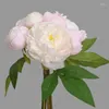 Decorative Flowers High-end Artificial Flower Fake Living Room Decoration TV Cabinet Entrance Pography Props Six Heads Peony B