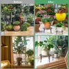 キッチンストレージ5屋外屋内植物のための金属植物のスタンドヘビーデューティの植木鉢スタンド