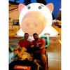 Modèle de dessin animé de cochon gonflable rose en gros de l'éclairage géant rose avec souffleur d'air pour la publicité décorative du centre commercial, événement 002