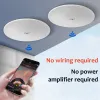 Speakers New Wireless Bluetooth Ceiling Speakers Builtin Power Amplifier Family Living Room 3D Surround Embedded Stereo Heavy Bass Sound