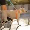 Dog Collars 4 PCS Многофункциональный питовой пряжка тяжелая наряда сплав с сплавом для клавишных матчей двойной конец