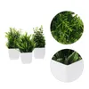 Fiori decorativi da 3 pezzi scrivania simulata in vaso piante finte finte mini arredamento pp succulento artificiale