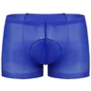 Onderbroek heren sexy ondergoed ultra dun een door pure bulge bouch rekbare erotische lingerie kous boksersbroek shorts shorts