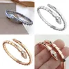 Heart 2024 Gold Bangle Designer Bracelets en diamant pour femmes bijoux de serpent en acier inoxydable pour femmes