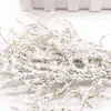 Torkade blommor 6st konstgjorda vita gräs växter konstgjorda blommor för bröllop juldekor diy scrapbooking krans falska blommor