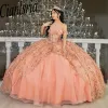 Blush Pink Off the Shoulder Ruffles Ball Gown Quinceanera Dresses 3D Flowers Sequined Lace Corset Sweet 15 Vestido