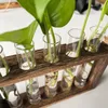 Vasen hängen hydroponisches Pflanzen -Terrarium -Retro -Röhrchen für Gartenbegeisterte Geschenk