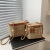 Mini Straw Bucket Crossbody bag For Women Summer Weave Womens Brand Handbags And Purses Fashion Chain Simple Shoulder Bags 240420