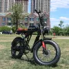 Bicycle 20 Inch Retro Two Wheel Electric Bike Soft Tail Double Snow Absorber Electric Bike On Thick Tires 26AH48v1500w Ebike