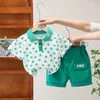 Clothing Sets 2024 Toddler Summer Outfit Clothes For Kids Boy 1 To 5 Years Turn-down Collar Short Sleeve T-shirts And Shorts Boys Tracksuits