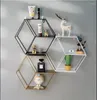 Bottles Nordic Hexagonal Iron Stand Small Pot Wall Holder Home Shelf Storage Metal Po Rack