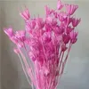 Fiori secchi 30 g di fiore asciutto Materiale fai -da -te decorazione casa candele fatte a mano in resina epossidica fiore secco fiori conservati bouquet