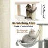 Scratchers kostenlos Versand Luxus Katzenbaum Eigentumswohnung Möbel Kätzchen Aktivität Turm Haustier Kitty Play House mit Kratzpfosten Barchen Hammoc