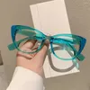 Güneş gözlükleri anti -mavi ışık kedi gözlükleri kadınlar vintage marka tasarımcısı miyopi reçeteli optik cam bilgisayar büyük gözlük çerçevesi