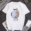 T-shirts masculins Hip Hop Mens T-shirt mignon chat humoristique huh meme à manches courtes y2k street street drôle cadeau manga q240426