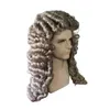 Perruque masculine Cosplay Wig Halloween Wig Costume Modèle de perruque Modèle de personnage de personnage de personnage