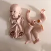 Bonecas npk 22 polegadas Reborn Kit de boneca