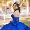 Blue Tulle Tiered Ruffle Royal Dree Quinceanera Prince Prom Party Gown Glitter Sequin Lace Appliqued Long Sleeve Sweetheart Neck Sweet 15 Vetido VX