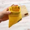 Le sac pour animaux de compagnie du transporteur de chiens portez votre régal comprend facilement un clip parfait pour les pendentifs de sacs à main