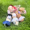 Puppen 12 cm niedlich Mini wiedergeborenes Ferkel Ganzkörper Silikon -Ferkelpuppen mit 3 Sätzen Mini -Outfits für jedes Bebe Reborn Smile Ferkel