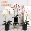 Fiori decorativi decorazione casa simulazione farfalla orchidea set pianta in vaso