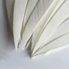 Arrow 50pcs White Turkey Arrow Archery Feathers Shield Hunting Fletching Archery Accessories Crossbow Fletch Arrow Vanes