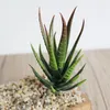 Fiori decorativi piante artificiali foglie mini aloe succulenti simulazione finta pianta fatti fatti fatti salo