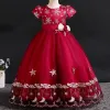 Fotografi Girls Christmas Dress Elegant Princess Clown for Girls Wedding Dress Flower Applicques Kids Evening Prom Dress Party Events Dress