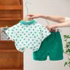 Clothing Sets 2024 Toddler Summer Outfit Clothes For Kids Boy 1 To 5 Years Turn-down Collar Short Sleeve T-shirts And Shorts Boys Tracksuits