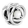 Famille 925 Pan Pure Sier en décembre Produit de naissance rotation et perles de zircon entrelacées Perles de bricolage