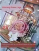 European Retro Iron Flower Stand Bird Cage Balcony Outdoor Decorative Cages Decoration Pet Supplies house 240419