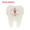 Clocks Dental Table Clock Decoration Small Modern Design Battery Desk Clock Cute Tooth Shape Dentistry Ornaments Artcraft Dentist Gifts